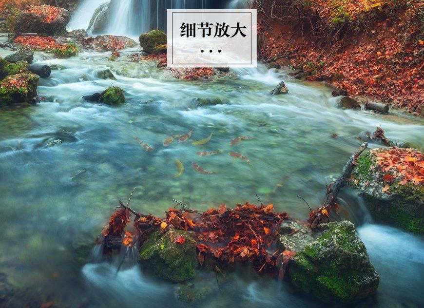 林志颖病房内过结婚纪念日，身体状况良好，颜值有望恢复到车祸前吗？游戏画面